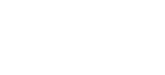 Q&A